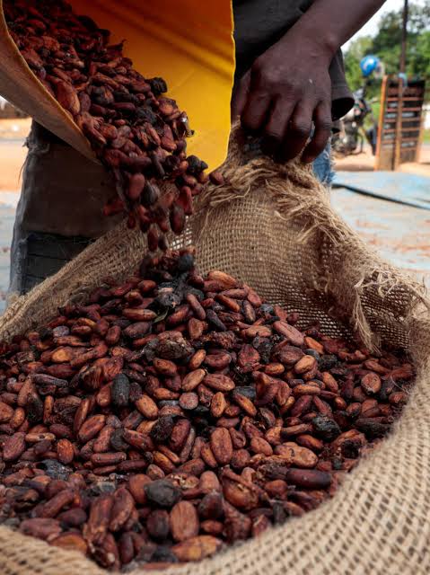 La FMO accorde 20 millions d’euros à ICP pour soutenir la filière cacao durable en Côte d’Ivoire
