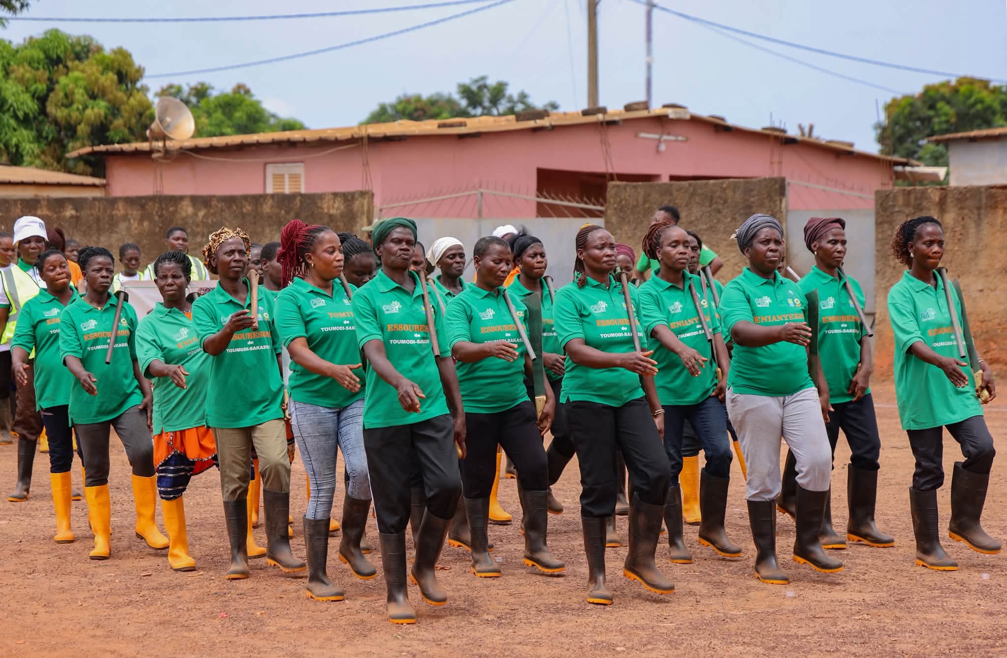 Pif2 : Les femmes de Toumodi-Sakassou font de la forêt une source de revenus